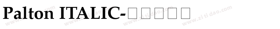Palton ITALIC字体转换